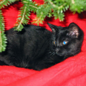 Meet your Posher, Marlana